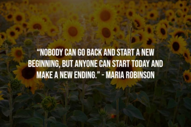 Motivational Sayings (20 pics)
