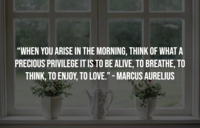 Motivational Sayings (20 pics)