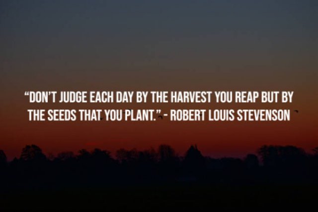 Motivational Sayings (20 pics)