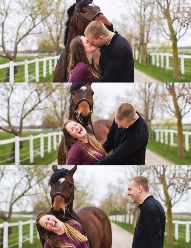 People Share Their Cute And Funny Pets (20 pics) People Share Their Cute And Funny Pets (20 pics)