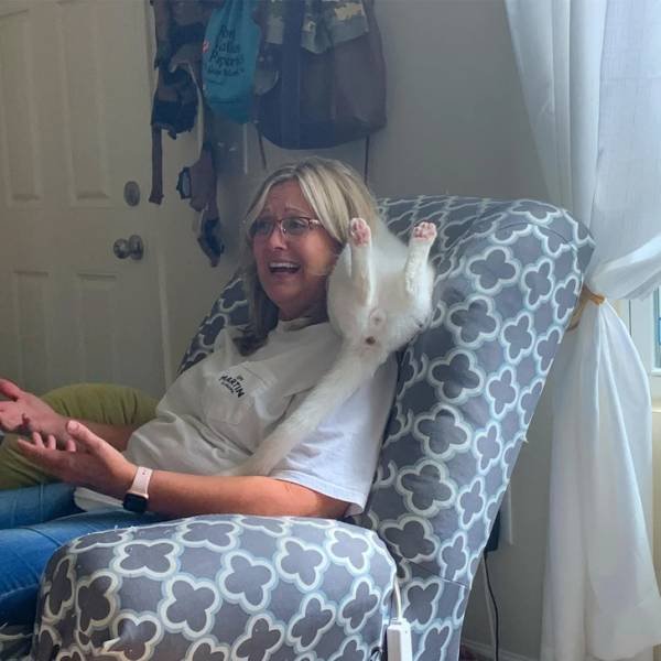 People Share Their Cute And Funny Pets (20 pics) People Share Their Cute And Funny Pets (20 pics)