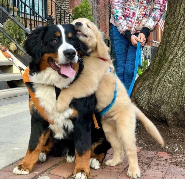 People Share Their Cute And Funny Pets (20 pics) People Share Their Cute And Funny Pets (20 pics)