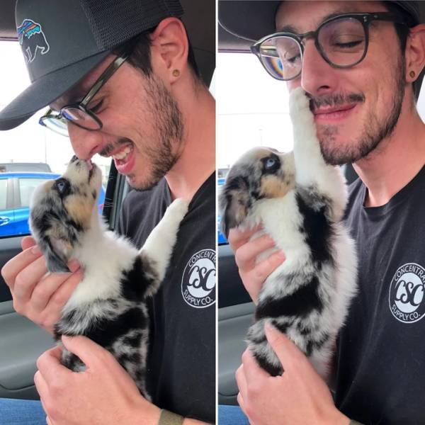 People Share Their Cute And Funny Pets (20 pics)
