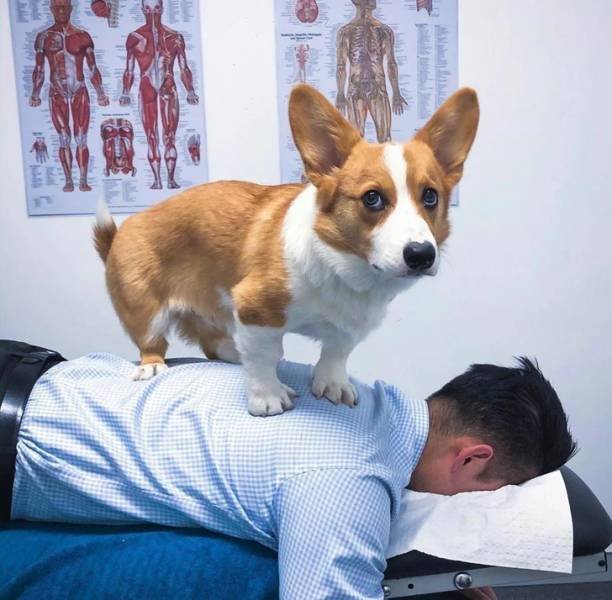 People Share Their Cute And Funny Pets (20 pics) People Share Their Cute And Funny Pets (20 pics)