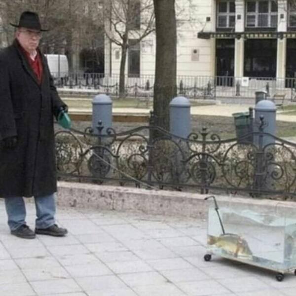 What Is Going On Here? (27 pics)