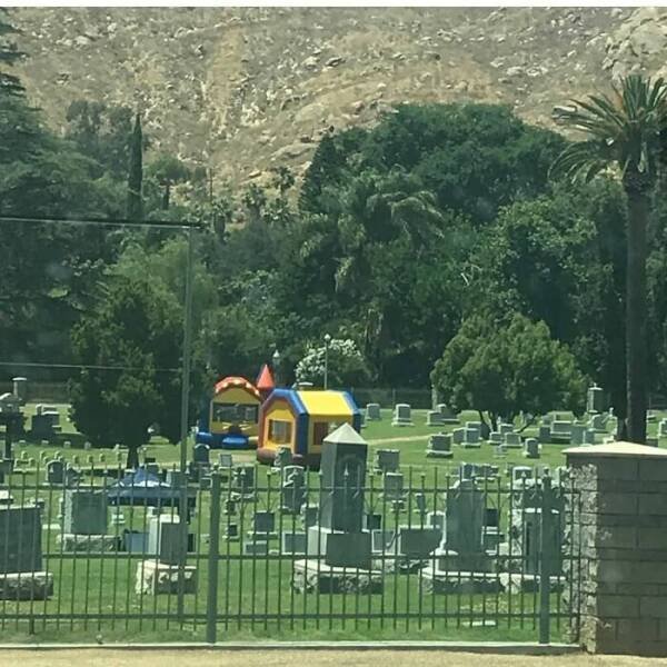 What Is Going On Here? (27 pics)