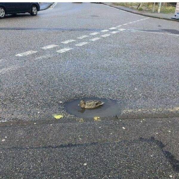 What Is Going On Here? (27 pics)
