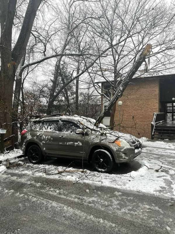 Weird Car Crashes (24 pics)