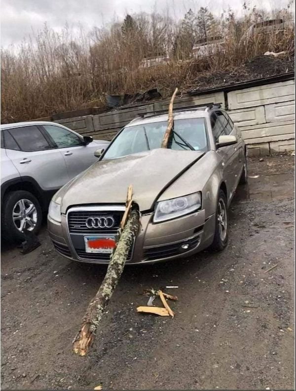Weird Car Crashes (24 pics)
