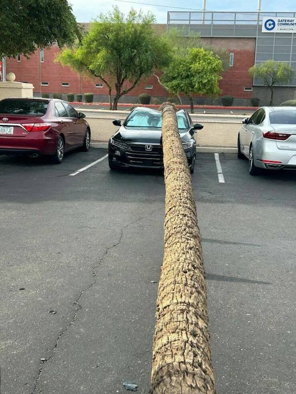 Weird Car Crashes (24 pics)