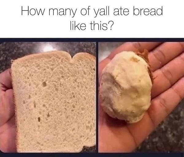 Food Memes (30 pics)