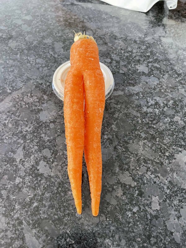 Perfect Photos (25 pics)