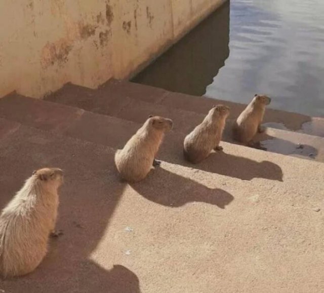 Perfect Photos (25 pics)