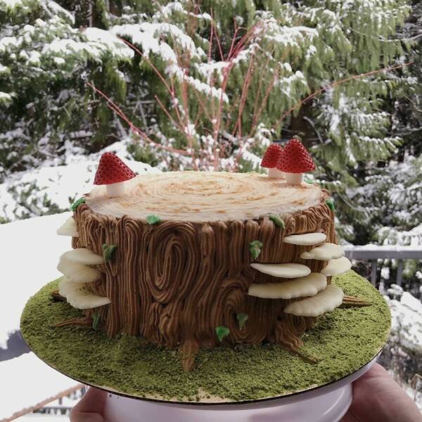 Amazing Baking (25 pics)