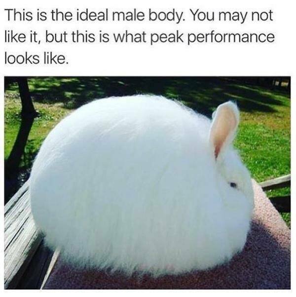 Truthful Memes (22 pics)
