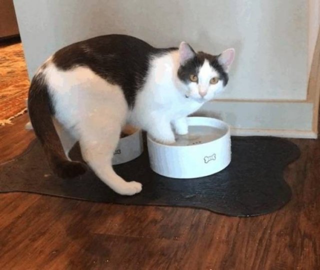 They Don't Care About The Rules (25 pics) They Don't Care About The Rules (25 pics)
