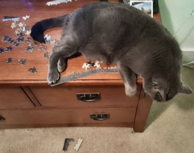 They Don't Care About The Rules (25 pics) They Don't Care About The Rules (25 pics)