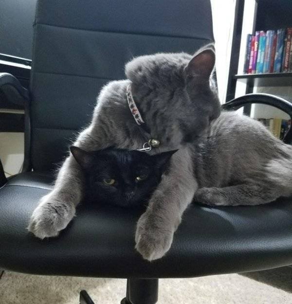 They Don't Care About The Rules (25 pics) They Don't Care About The Rules (25 pics)