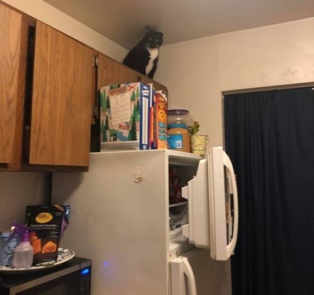 They Don't Care About The Rules (25 pics) They Don't Care About The Rules (25 pics)