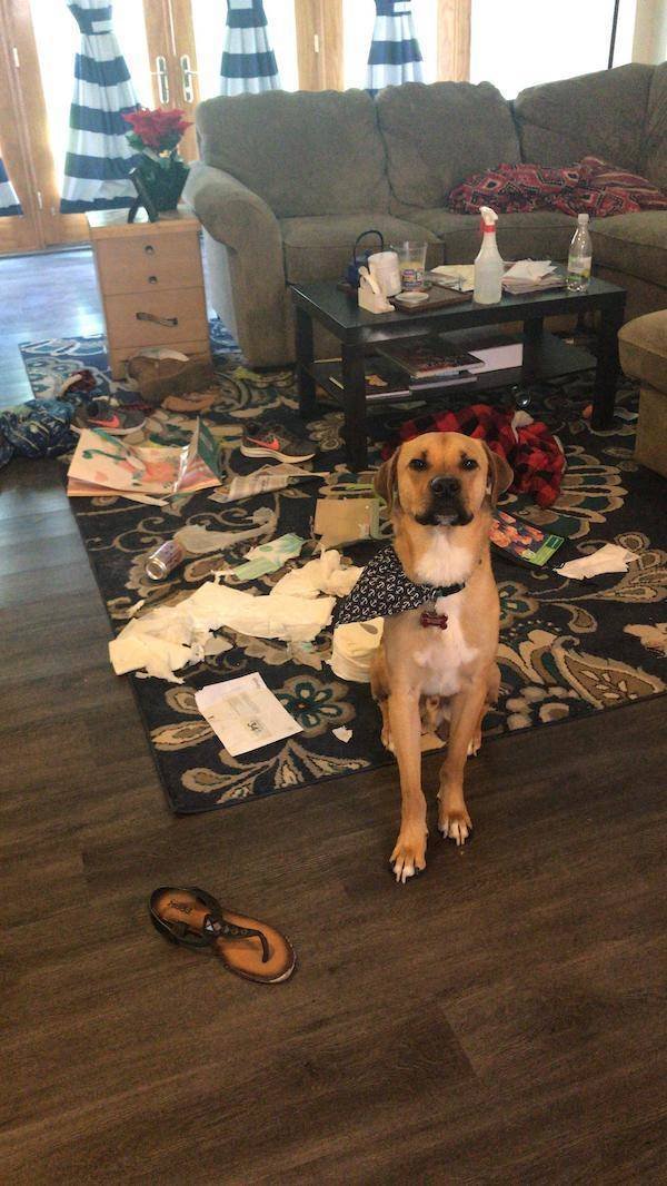 They Don't Care About The Rules (25 pics) They Don't Care About The Rules (25 pics)