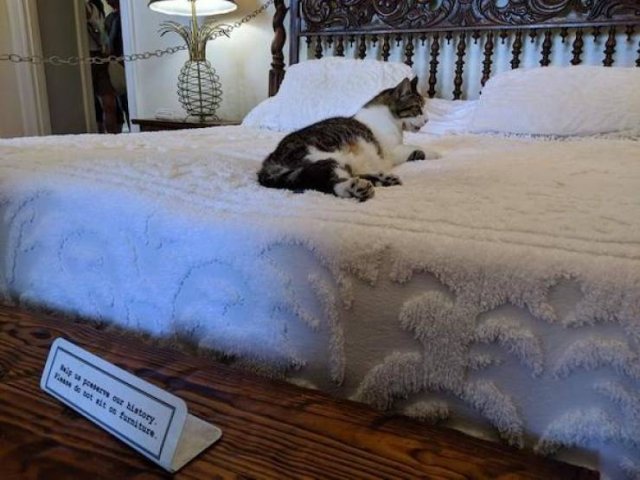 They Don't Care About The Rules (25 pics) They Don't Care About The Rules (25 pics)