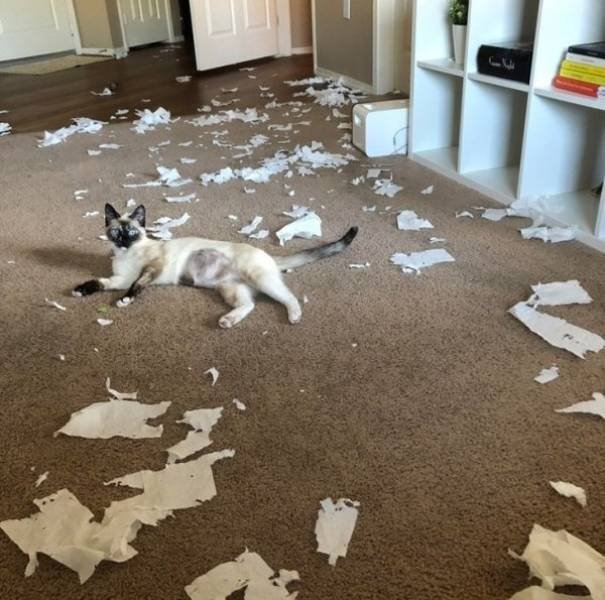They Don't Care About The Rules (25 pics) They Don't Care About The Rules (25 pics)