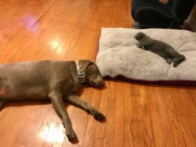 They Don't Care About The Rules (25 pics) They Don't Care About The Rules (25 pics)