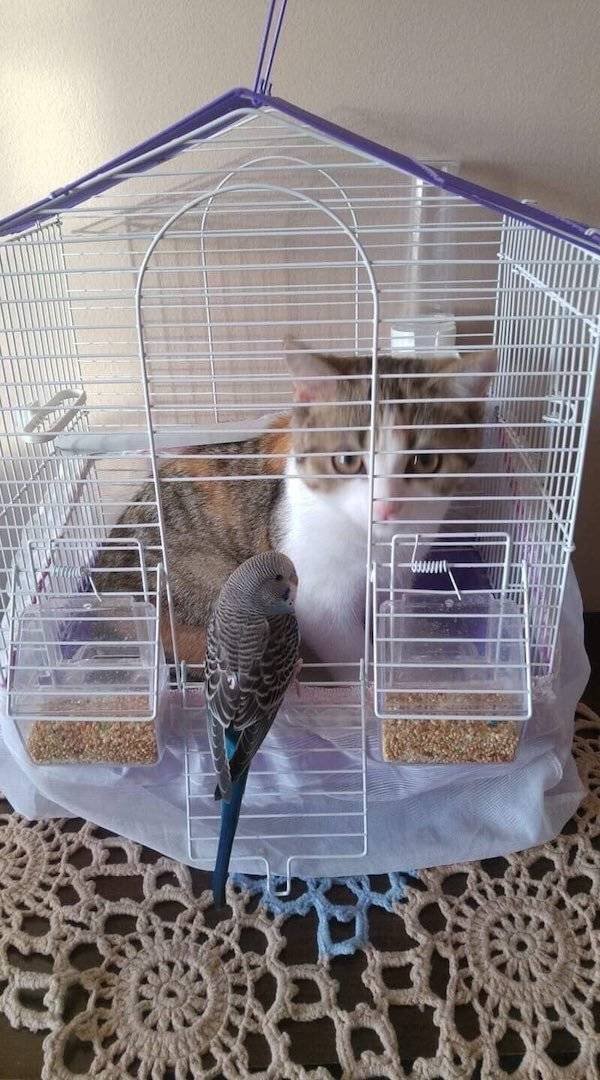 They Don't Care About The Rules (25 pics) They Don't Care About The Rules (25 pics)
