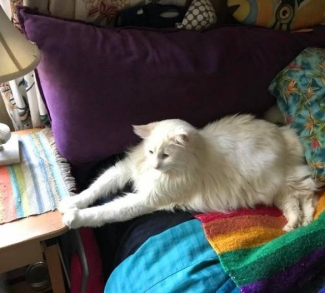 They Don't Care About The Rules (25 pics) They Don't Care About The Rules (25 pics)
