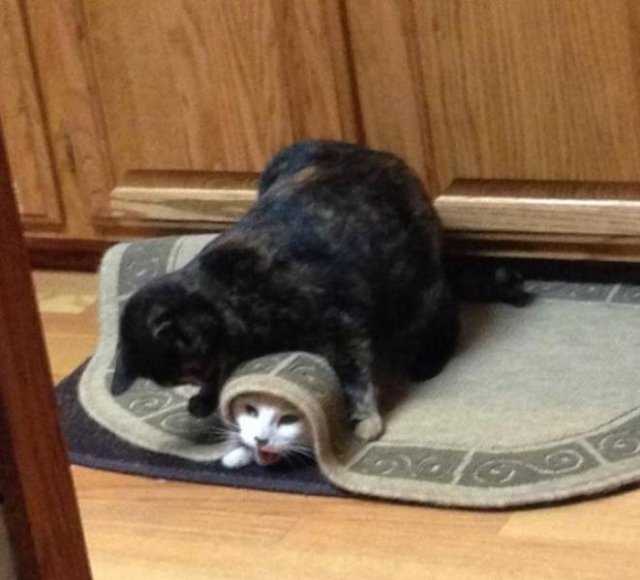 They Don't Care About The Rules (25 pics) They Don't Care About The Rules (25 pics)