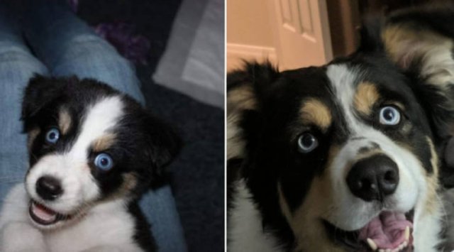 They Grow Very Fast (25 pics)