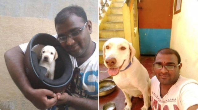 They Grow Very Fast (25 pics)