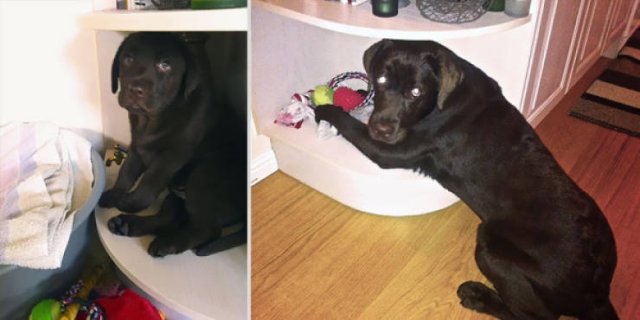 They Grow Very Fast (25 pics)