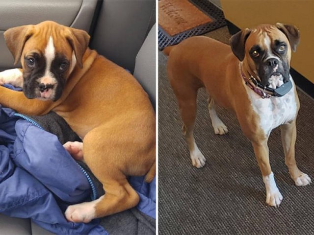They Grow Very Fast (25 pics)