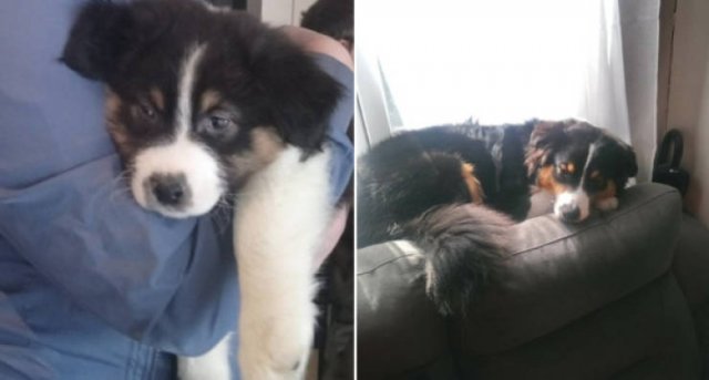 They Grow Very Fast (25 pics)
