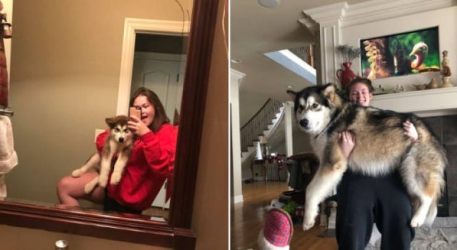 They Grow Very Fast (25 pics)