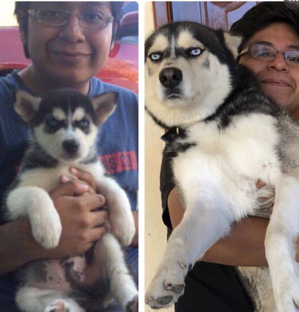 They Grow Very Fast (25 pics)