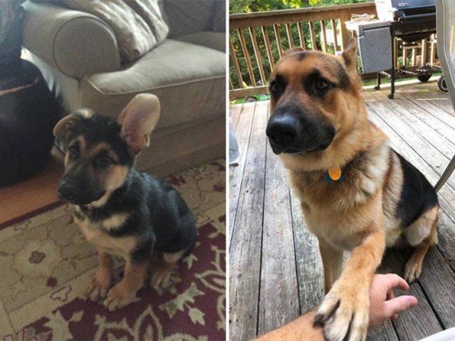 They Grow Very Fast (25 pics)