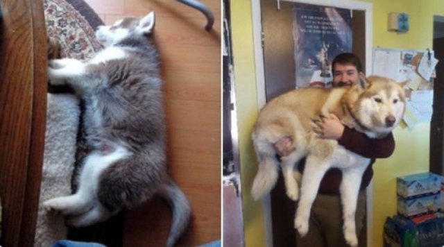 They Grow Very Fast (25 pics)