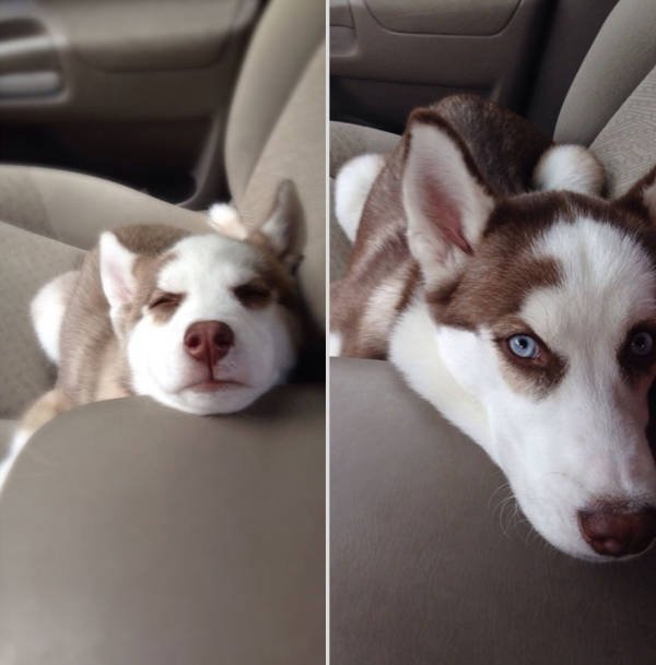 They Grow Very Fast (25 pics)