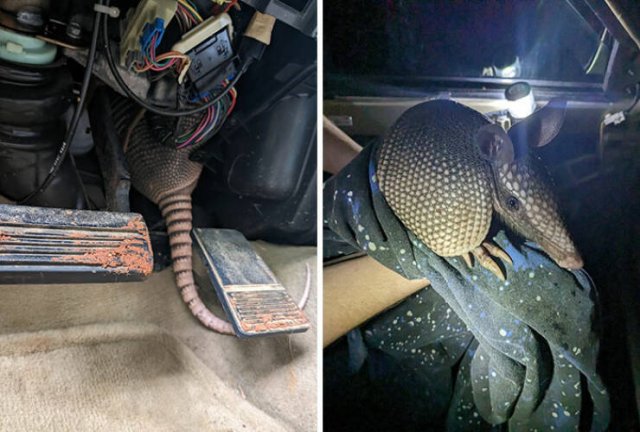 Mechanics Share Funny And Weird Moments (24 pics)
