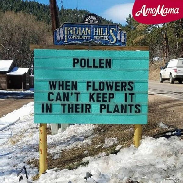 Spring Humor (17 pics)