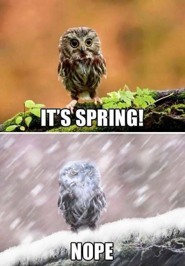 Spring Humor (17 pics)