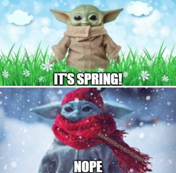 Spring Humor (17 pics)