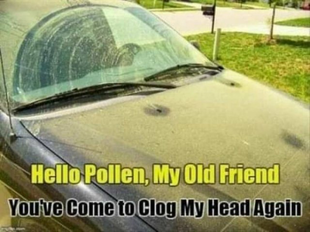 Spring Humor (17 pics)