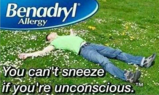 Spring Humor (17 pics)