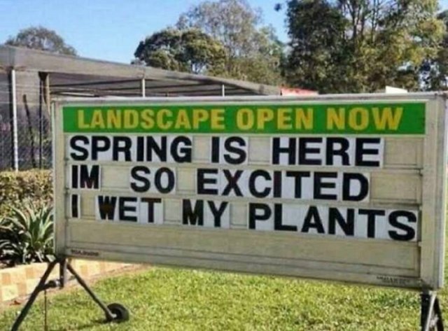 Spring Humor (17 pics)