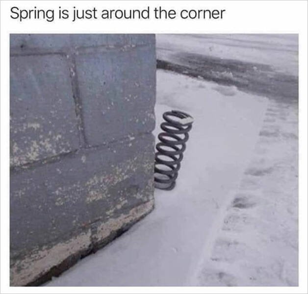 Spring Humor (17 pics)