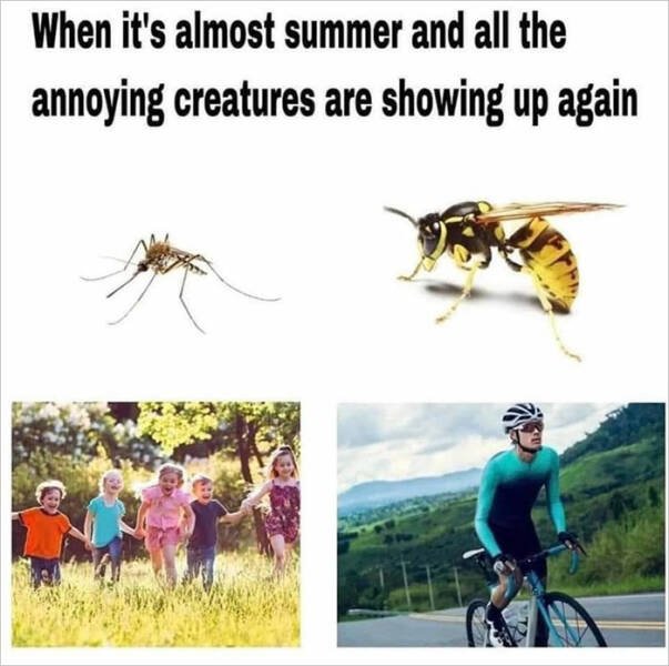 Spring Humor (17 pics)