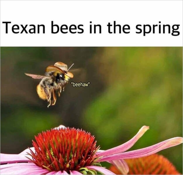 Spring Humor (17 pics)